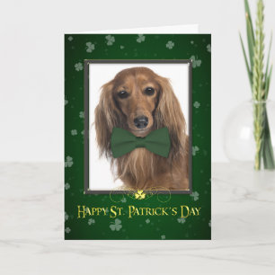 Cartão Dachshund St. Patrick's Day Card