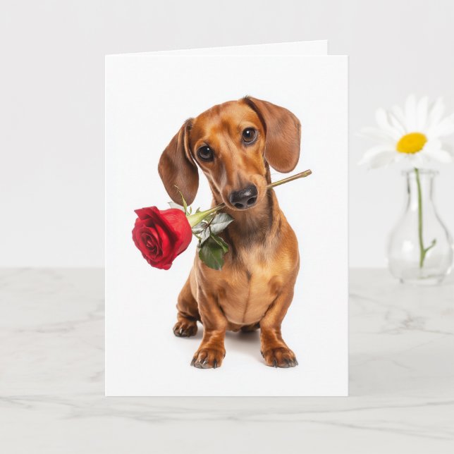 Cartão Dachshund Valentine (Planta pequena)