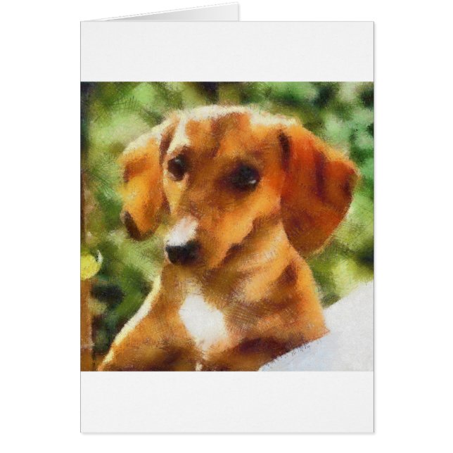 Cartão Dachsy (Frente)