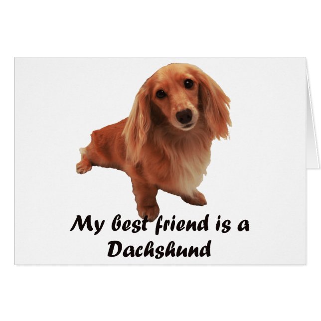 Cartão Dackel (Frente Horizontal)