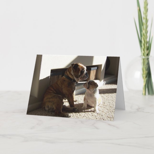 Cartão Dad, you are my hero (Frente)