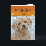 Cartão Dad's Birthday<br><div class="desc">Cute expression on poodle's face for humorous Dad's birthday.</div>