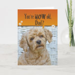 Cartão Dad's Birthday<br><div class="desc">Cute expression on poodle's face for humorous Dad's birthday.</div>