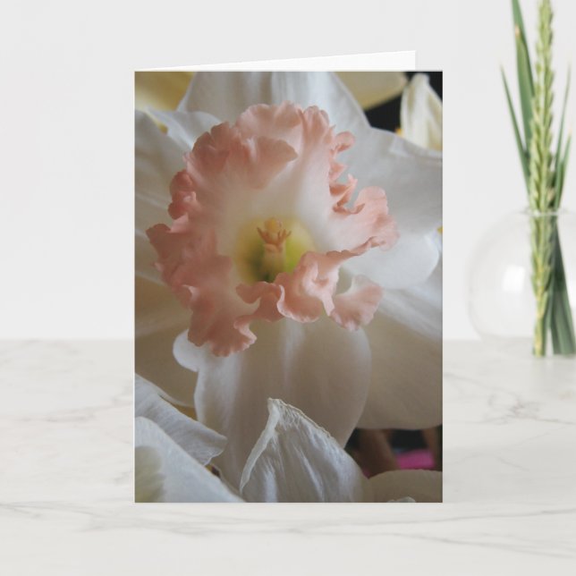 Cartão Daffodil (Frente)