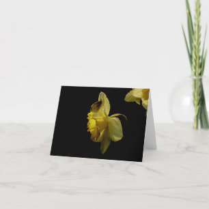 Cartão Daffodil and moth notecard