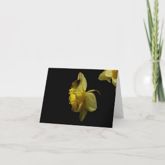 Cartão Daffodil and moth notecard