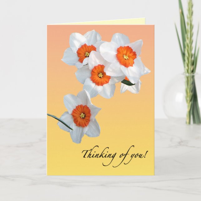 Cartão Daffodil Birthday Card (Frente)