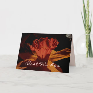 Cartão Daffodil de Melhores Desejos