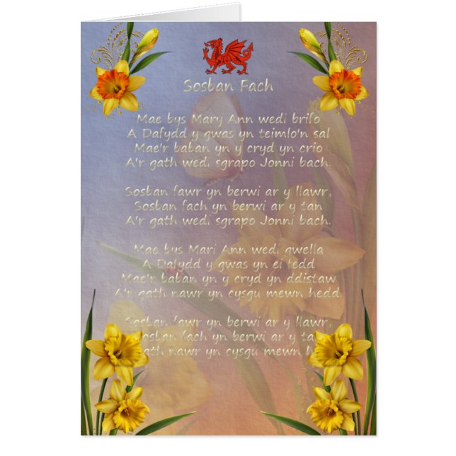 Cartão Daffodil de Sospan Fach decorado (Frente)