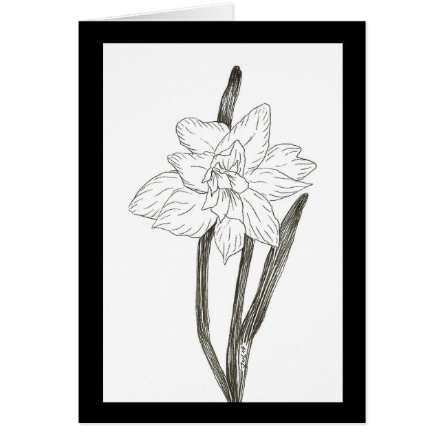 Cartão Daffodil duplo (Frente)