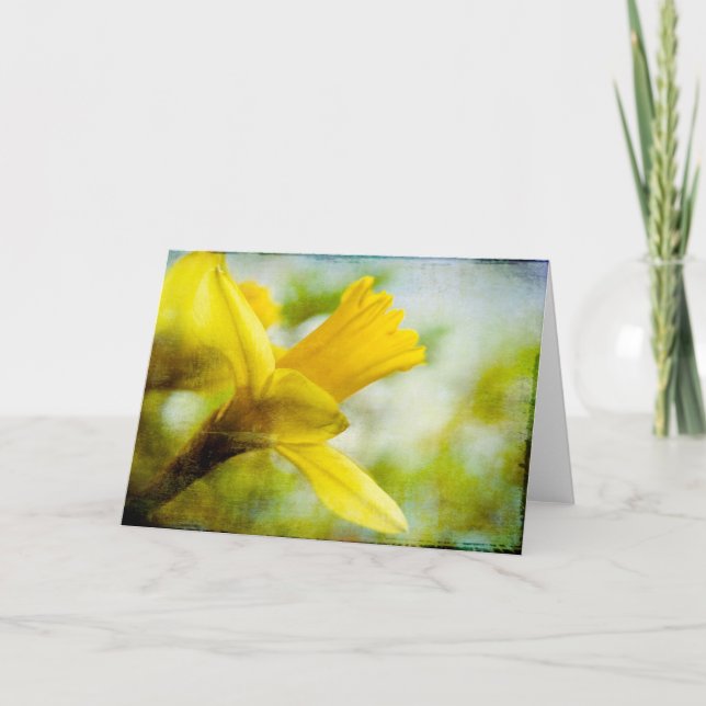 Cartão Daffodil • Greeting Card (Frente)