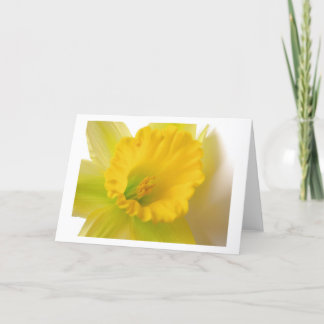 Cartão Daffodil Saudações