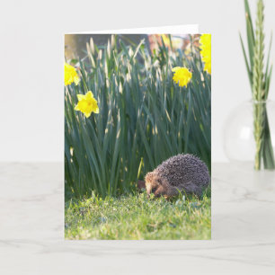 Cartão Daffodil Walkabout Greeting Card