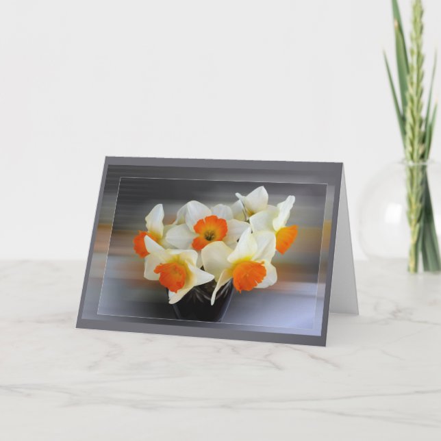Cartão Daffodilos de primavera precoce (Frente)