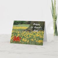 Daffodils do dia de St David