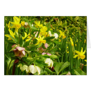 Cartão Daffodils e Rosas de Lenten