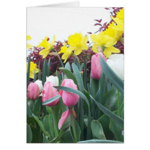 Cartão Daffodils e tulipas do primavera