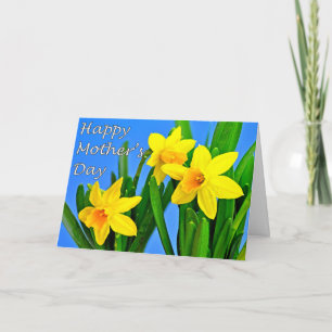 Cartão Daffodils Mother's Day Card