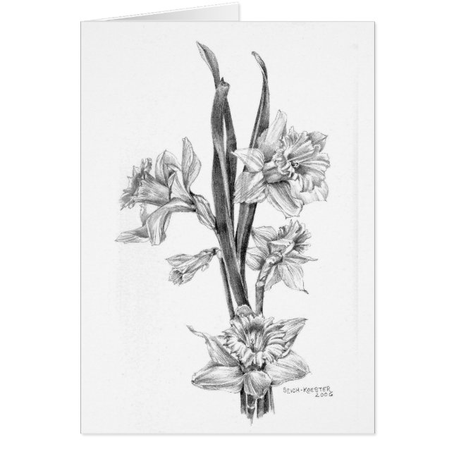 Cartão Daffodils no lápis (Frente)