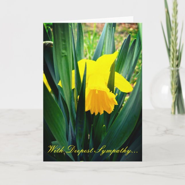 Cartão Daffodils Sympathy Card (Frente)