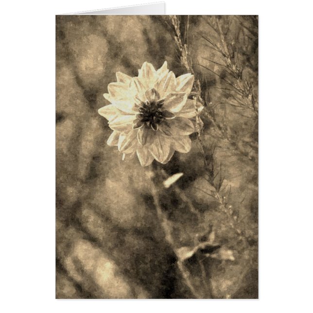 Cartão Dahlia (Frente)