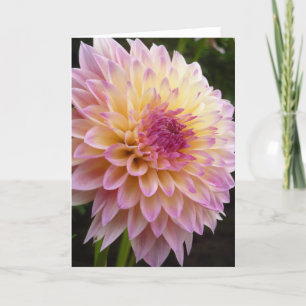 Cartão Dahlia