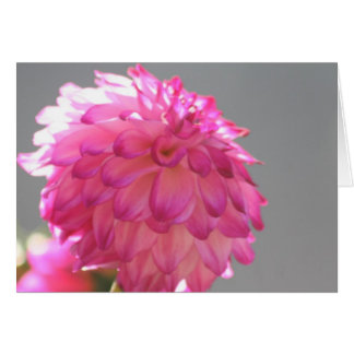 Cartão Dahlia 1