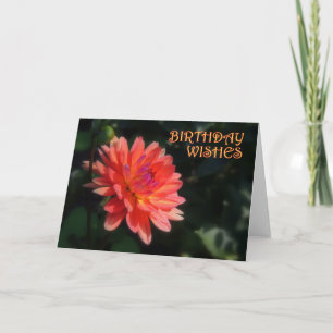 Cartão Dahlia Birthday 1