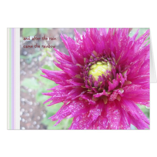 Cartão Dahlia em Fushia (Frente Horizontal)