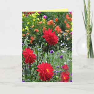 Cartão Dahlia Flower Garden Birth