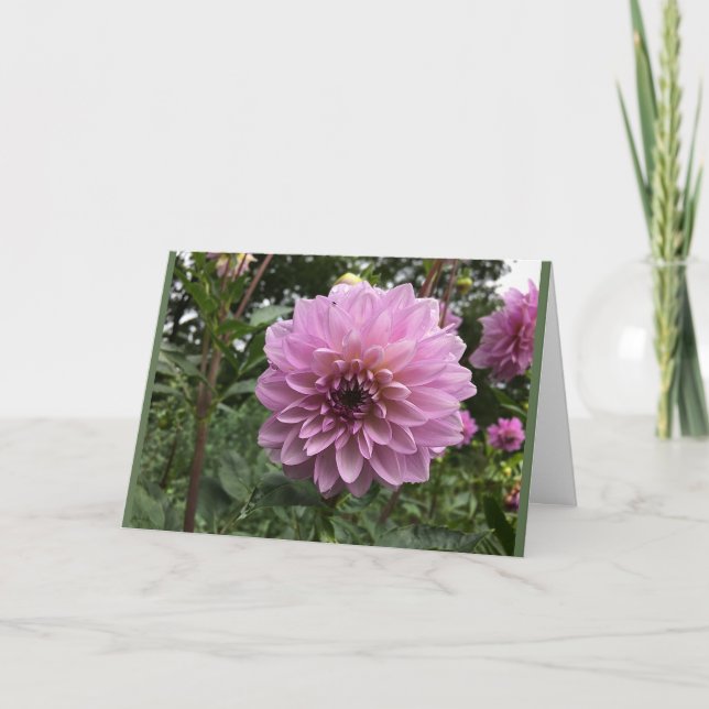 Cartão Dahlia flower relationship photo greeting card (Frente)