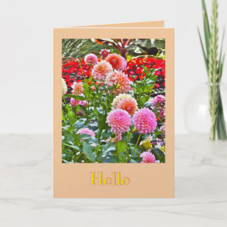 CARTÃO DAHLIA GARDEN/ PINK AND PEACH DAHLIAS/ "HELLO"