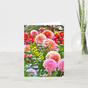 CARTÃO DAHLIA GARDEN/ PINK E PEACH DAHLIAS/ "OLÁ"