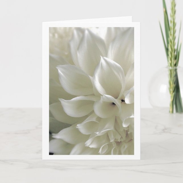 Cartão Dahlia Greeting Card (Frente)