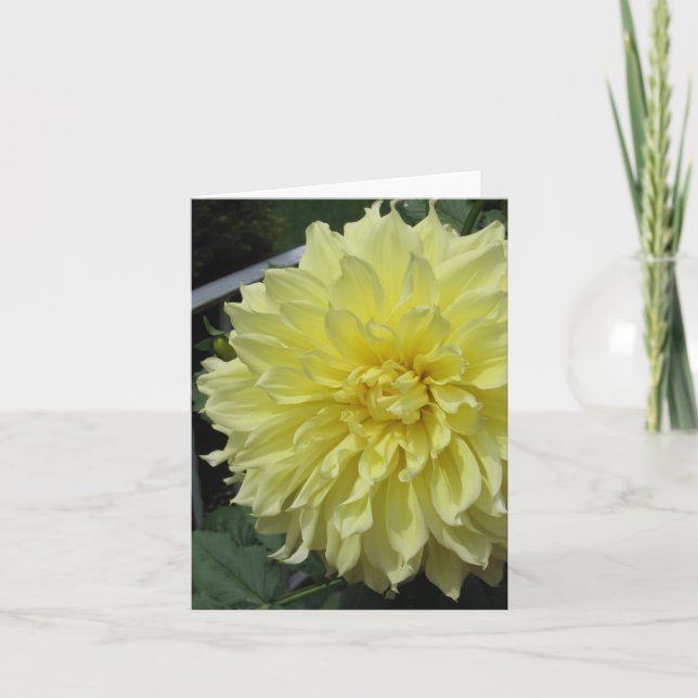 Cartão Dahlia Note Card (Frente)