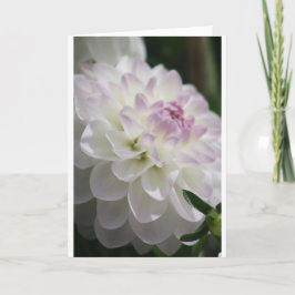 Cartão Dahlia Note Card