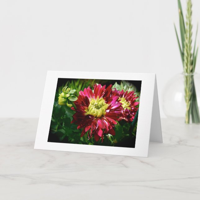 Cartão Dahlia Note Card (Frente)