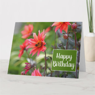 Cartão Dahlia Rosa e Vermelha Flores Wisley Feliz Anivers