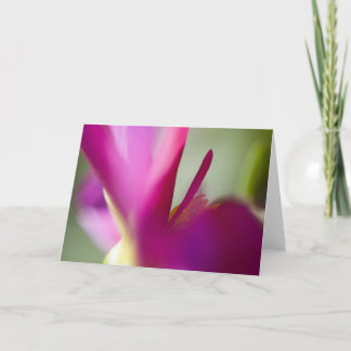 Cartão Dahlia up close greeting card