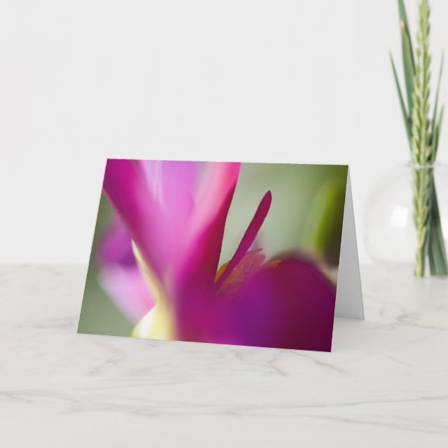Cartão Dahlia up close greeting card (Frente)