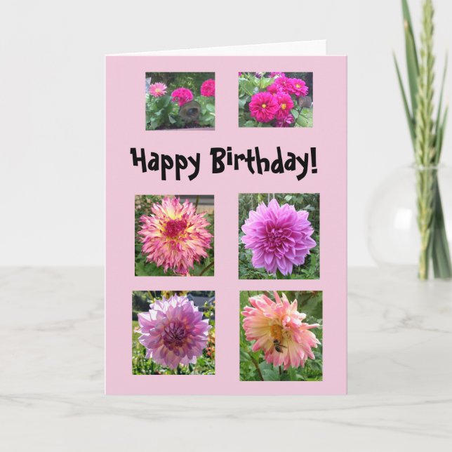 Cartão Dahlias rosa para o seu aniversário! (Frente)