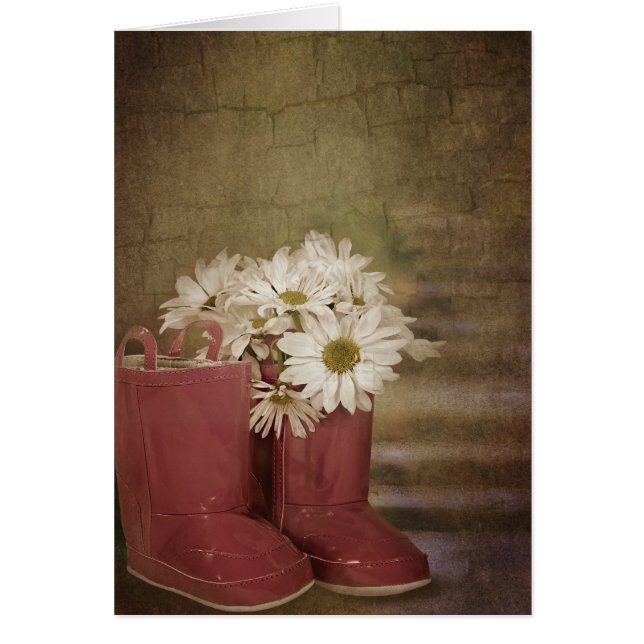 Cartão Daisies (Frente)