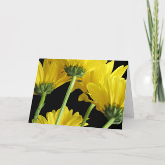 Cartão Daisies Closeup