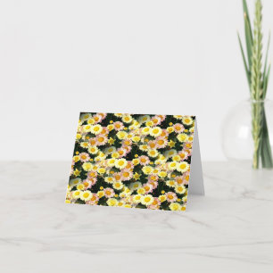 Cartão Daisies Galore......