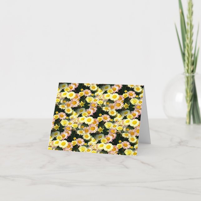 Cartão Daisies Galore...... (Frente)