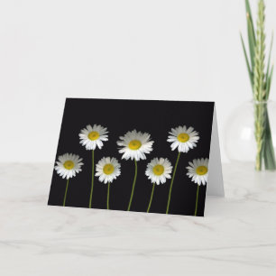 Cartão Daisies Galore Greeting card