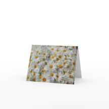 Daisies Notecard
