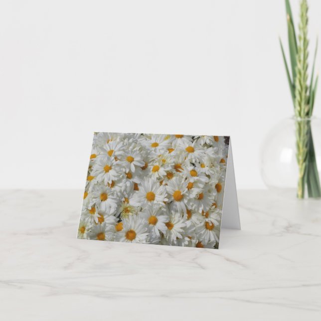 Cartão Daisies Notecard (Frente)