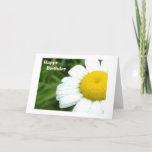 Cartão Daisy Birthday<br><div class="desc">Watercolor daisy</div>