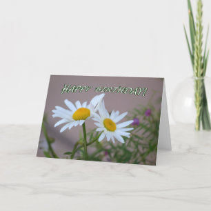 Cartão Daisy Duo Birthday Card - blank inside